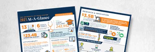 Infographic of 2021 At a Glance, laid out as 2 pages overlapping