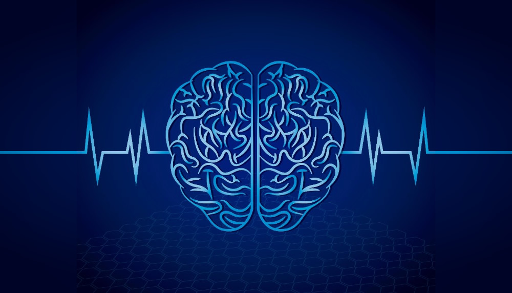 Illustration of a brain.