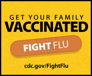fight the flu image