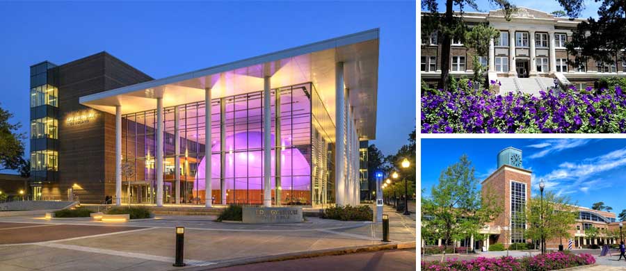 Campus banners commemorate SFA centennial, Gallery