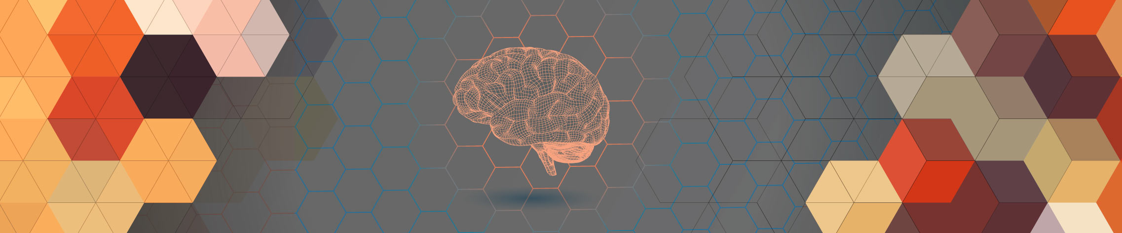 composition image of a polygonal brain flanked by hexagons shapes and colors