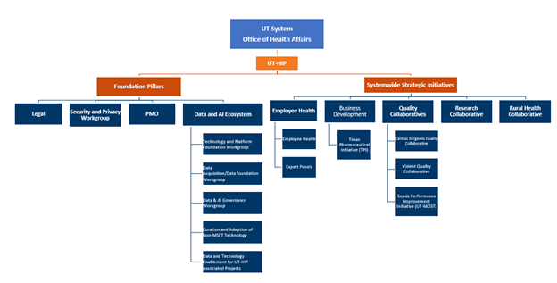 Organizational chart of UT HIP and the Office of Health Affairs