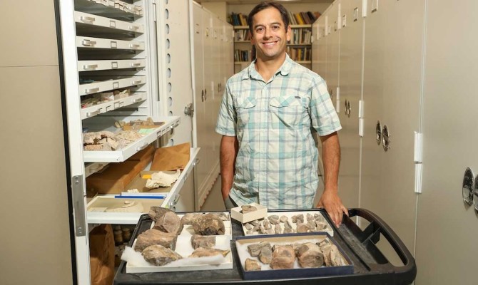 Jason W. Ricketts, Ph.D., associate professor in The University of Texas at El Paso’s Department of Earth, Environmental and Resource Sciences, discovered fossils – identified as belonging to the dinosaur Tenontosaurus – while conducting unrelated fieldwork at Indio Mountains Research Station, a UTEP-owned natural laboratory near Van Horn, Texas. 