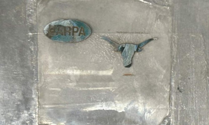 Silver patterning (longhorn) on an chip's exterior