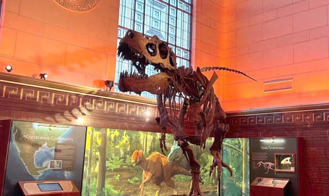 Interior photo of the Science festival, focusing on a T-Rex skeleton