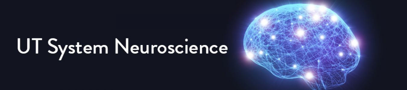 Neuroscience Council