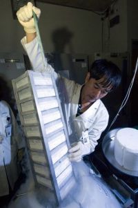 Facheng Luo, research associate at the UTHealth School of Public Health, working in the CCTS Biobank at UTHealth. Photo taken by Dwight Andrews.